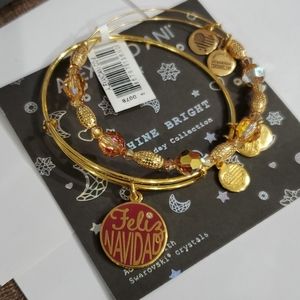 Alex and Ani Feliz Navidad holiday gift set